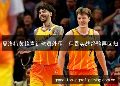 夏洛特黄蜂青训球员外租，积累实战经验再回归